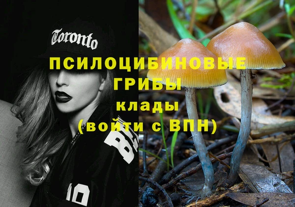гидропоника Абаза