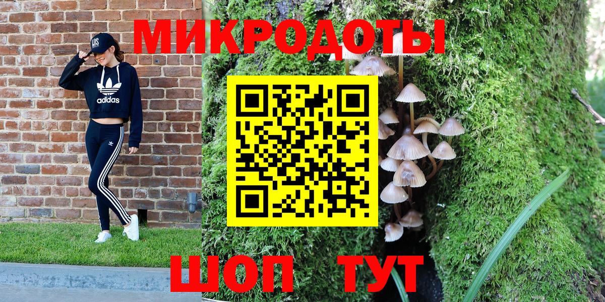 Галлюциногенные грибы ЛСД Урус-Мартан